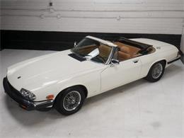 1987 Jaguar XJS (CC-2121463) for sale in Reno, Nevada