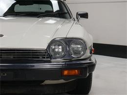 1987 Jaguar XJS (CC-2121463) for sale in Reno, Nevada