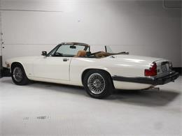 1987 Jaguar XJS (CC-2121463) for sale in Reno, Nevada