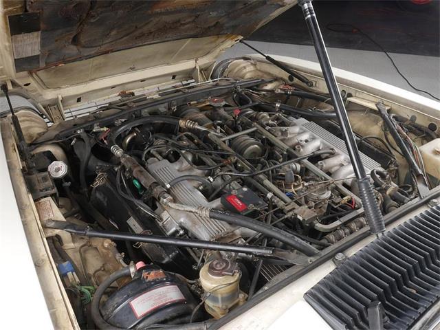 1987 Jaguar XJS (CC-2121463) for sale in Reno, Nevada