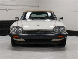 1987 Jaguar XJS (CC-2121463) for sale in Reno, Nevada