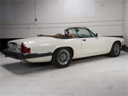 1987 Jaguar XJS (CC-2121463) for sale in Reno, Nevada