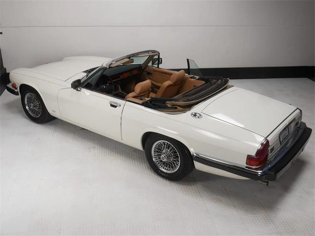 1987 Jaguar XJS (CC-2121463) for sale in Reno, Nevada