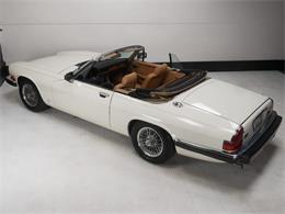 1987 Jaguar XJS (CC-2121463) for sale in Reno, Nevada