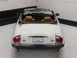 1987 Jaguar XJS (CC-2121463) for sale in Reno, Nevada