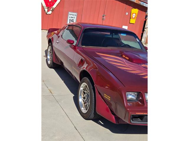 1979 Pontiac Firebird (CC-2121464) for sale in Lenoir City, Tennessee