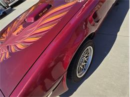 1979 Pontiac Firebird (CC-2121464) for sale in Lenoir City, Tennessee