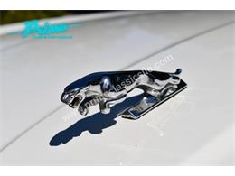 1991 Jaguar XJ (CC-2121477) for sale in Lakeland, Florida