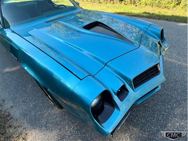 1979 Chevrolet Camaro Z28 (CC-2120153) for sale in Benson, North Carolina