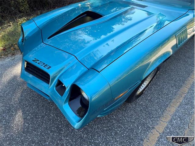 1979 Chevrolet Camaro Z28 (CC-2120153) for sale in Benson, North Carolina