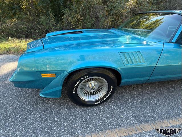 1979 Chevrolet Camaro Z28 (CC-2120153) for sale in Benson, North Carolina