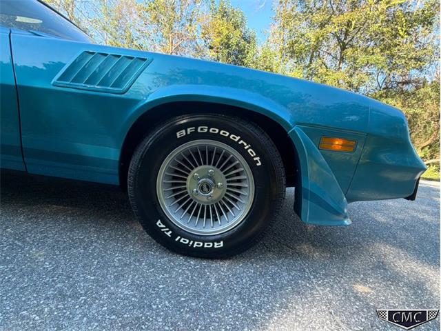 1979 Chevrolet Camaro Z28 (CC-2120153) for sale in Benson, North Carolina