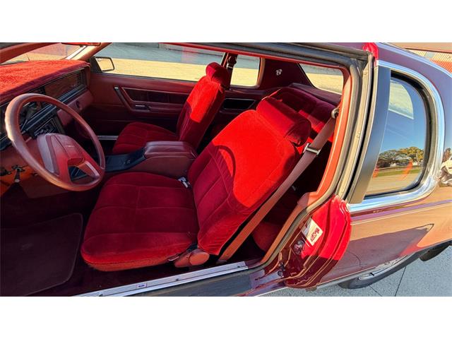 1984 Ford Thunderbird (CC-2121633) for sale in Annandale, Minnesota