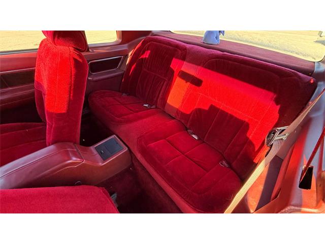 1984 Ford Thunderbird (CC-2121633) for sale in Annandale, Minnesota