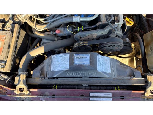 1984 Ford Thunderbird (CC-2121633) for sale in Annandale, Minnesota