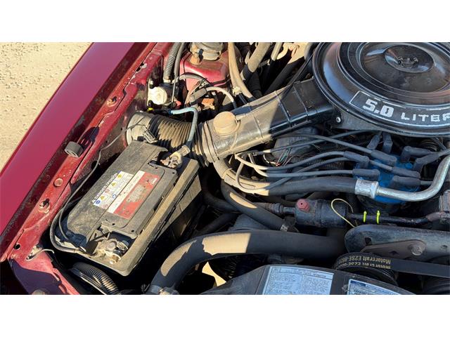 1984 Ford Thunderbird (CC-2121633) for sale in Annandale, Minnesota