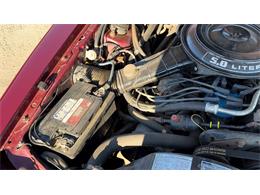 1984 Ford Thunderbird (CC-2121633) for sale in Annandale, Minnesota