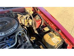 1984 Ford Thunderbird (CC-2121633) for sale in Annandale, Minnesota