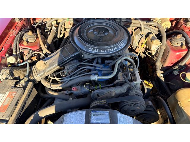 1984 Ford Thunderbird (CC-2121633) for sale in Annandale, Minnesota