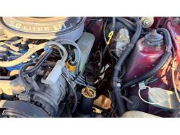 1984 Ford Thunderbird (CC-2121633) for sale in Annandale, Minnesota
