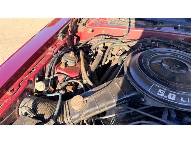 1984 Ford Thunderbird (CC-2121633) for sale in Annandale, Minnesota