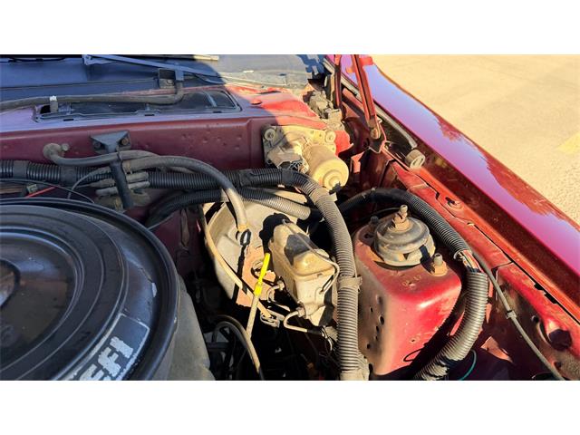 1984 Ford Thunderbird (CC-2121633) for sale in Annandale, Minnesota