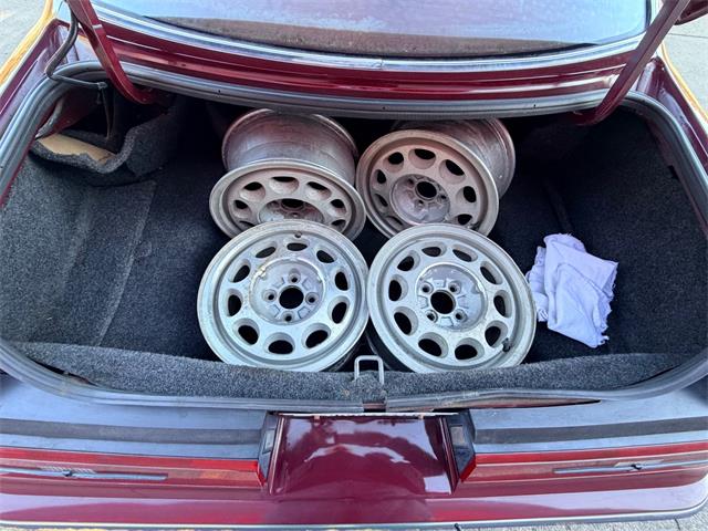 1984 Ford Thunderbird (CC-2121633) for sale in Annandale, Minnesota