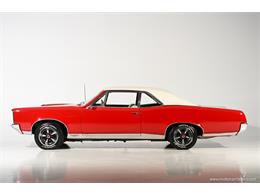 1967 Pontiac GTO (CC-2121644) for sale in Farmingdale, New York