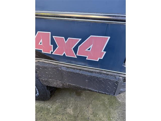 1978 Chevrolet C10 (CC-2121719) for sale in Staten Island , Ny 