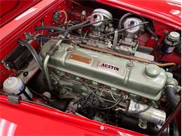 1967 Austin-Healey 3000 (CC-2121738) for sale in Morgantown, Pennsylvania