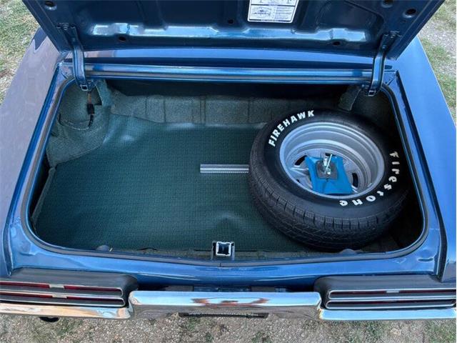 1969 Pontiac GTO (CC-2121779) for sale in Fredericksburg, Texas