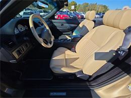 2005 Ford Thunderbird (CC-2121811) for sale in Ross, Ohio