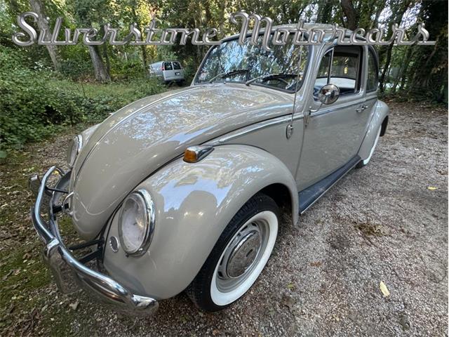 1966 Volkswagen Beetle (CC-2121916) for sale in North Andover, Massachusetts