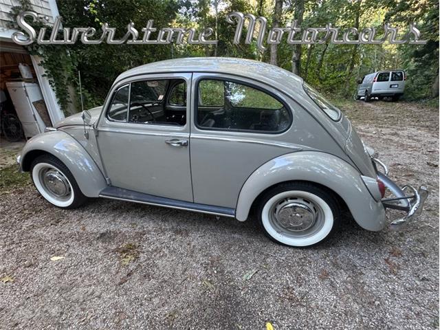 1966 Volkswagen Beetle (CC-2121916) for sale in North Andover, Massachusetts
