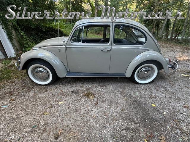 1966 Volkswagen Beetle (CC-2121916) for sale in North Andover, Massachusetts