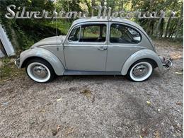 1966 Volkswagen Beetle (CC-2121916) for sale in North Andover, Massachusetts