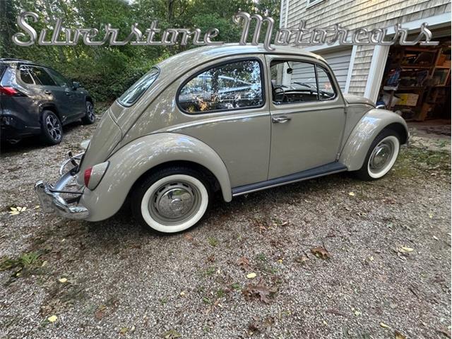 1966 Volkswagen Beetle (CC-2121916) for sale in North Andover, Massachusetts