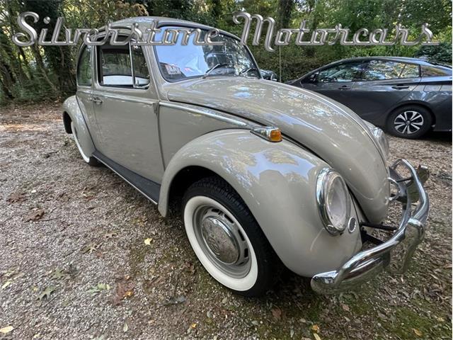 1966 Volkswagen Beetle (CC-2121916) for sale in North Andover, Massachusetts
