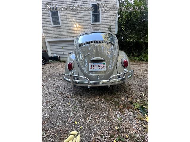 1966 Volkswagen Beetle (CC-2121916) for sale in North Andover, Massachusetts