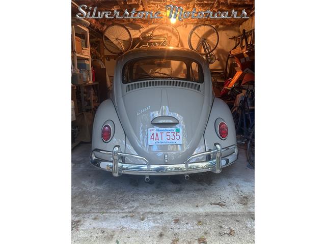 1966 Volkswagen Beetle (CC-2121916) for sale in North Andover, Massachusetts