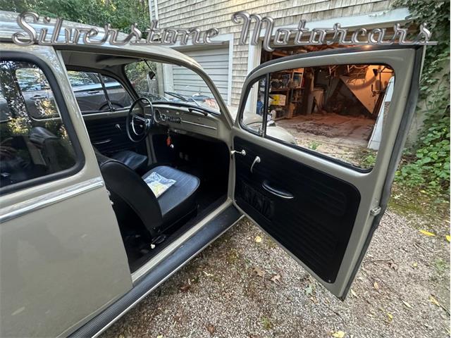1966 Volkswagen Beetle (CC-2121916) for sale in North Andover, Massachusetts