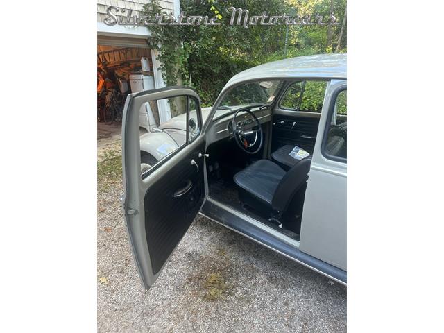 1966 Volkswagen Beetle (CC-2121916) for sale in North Andover, Massachusetts