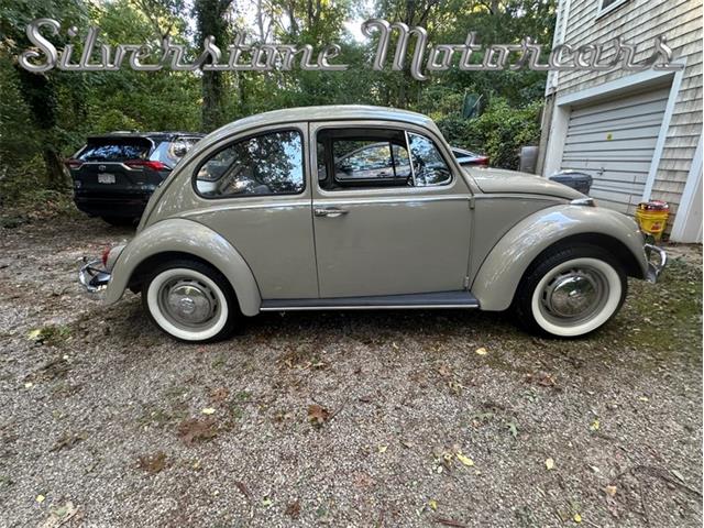 1966 Volkswagen Beetle (CC-2121916) for sale in North Andover, Massachusetts
