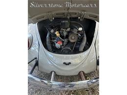 1966 Volkswagen Beetle (CC-2121916) for sale in North Andover, Massachusetts