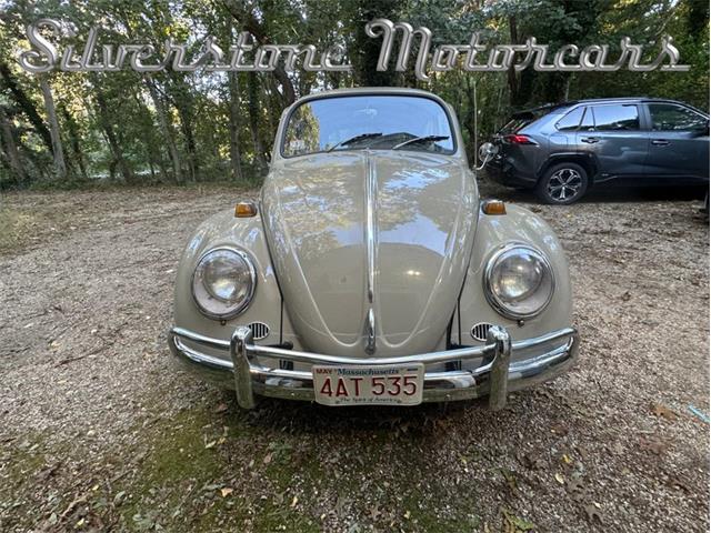 1966 Volkswagen Beetle (CC-2121916) for sale in North Andover, Massachusetts