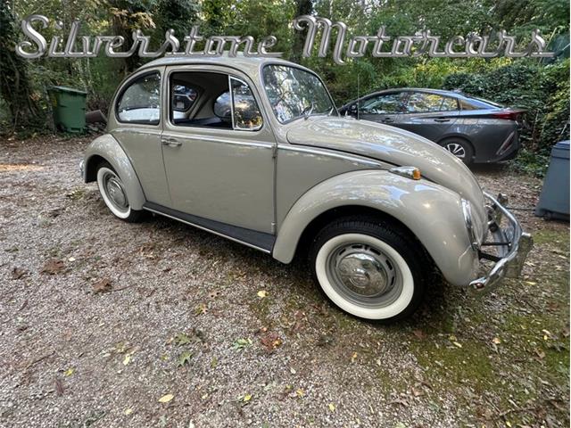 1966 Volkswagen Beetle (CC-2121916) for sale in North Andover, Massachusetts