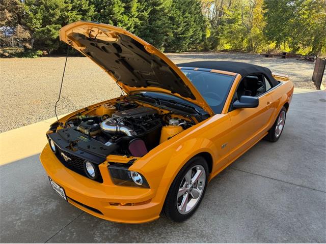 2007 Ford Mustang (CC-2121936) for sale in Newfield, New Jersey