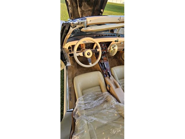 1980 Chevrolet Corvette C3 (Collector's Edition) (CC-2120195) for sale in Grimesland, North Carolina