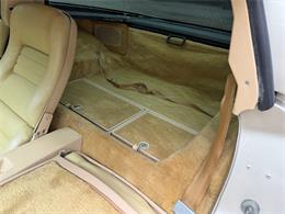 1980 Chevrolet Corvette C3 (Collector's Edition) (CC-2120195) for sale in Grimesland, North Carolina