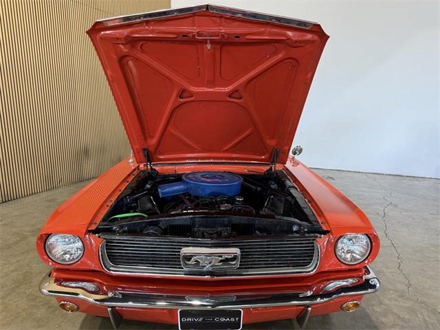 1966 Ford Mustang (CC-2121967) for sale in Santa Rosa, Florida